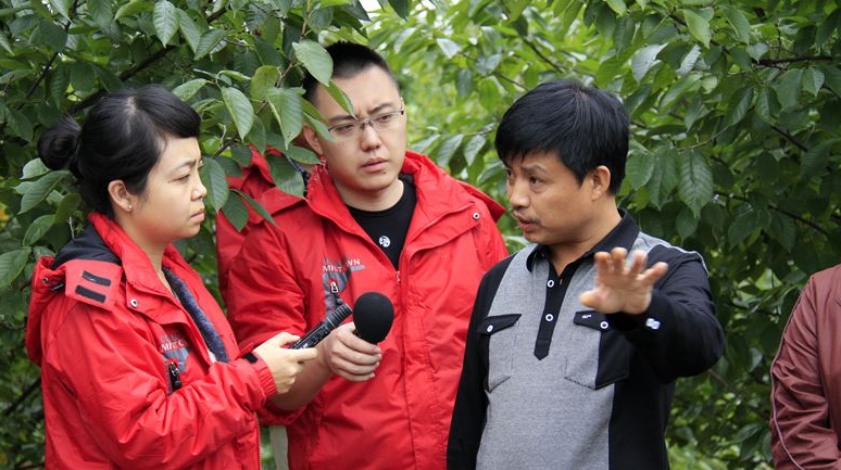 结构性分化  弱平衡难破