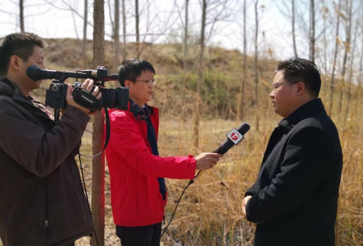 “好身材不等于好票房  多少名模死在演戏路”